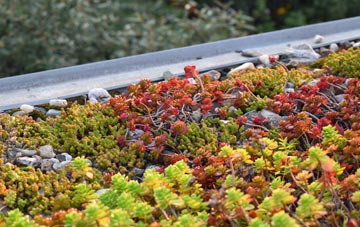 the cost of Rearquhar green roof installation