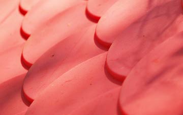 Rearquhar plastic roof costs